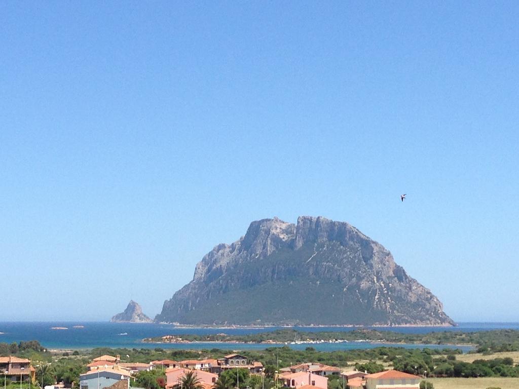Case Vacanza Rosa Porto San Paolo  Zewnętrze zdjęcie